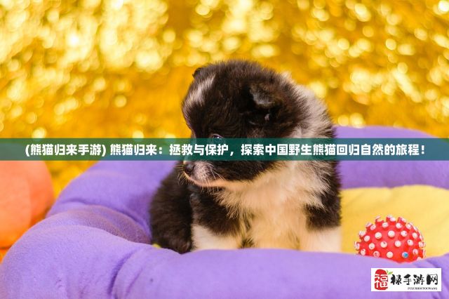 (熊猫归来手游) 熊猫归来：拯救与保护，探索中国野生熊猫回归自然的旅程！